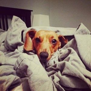 Meet your Posher, Mel